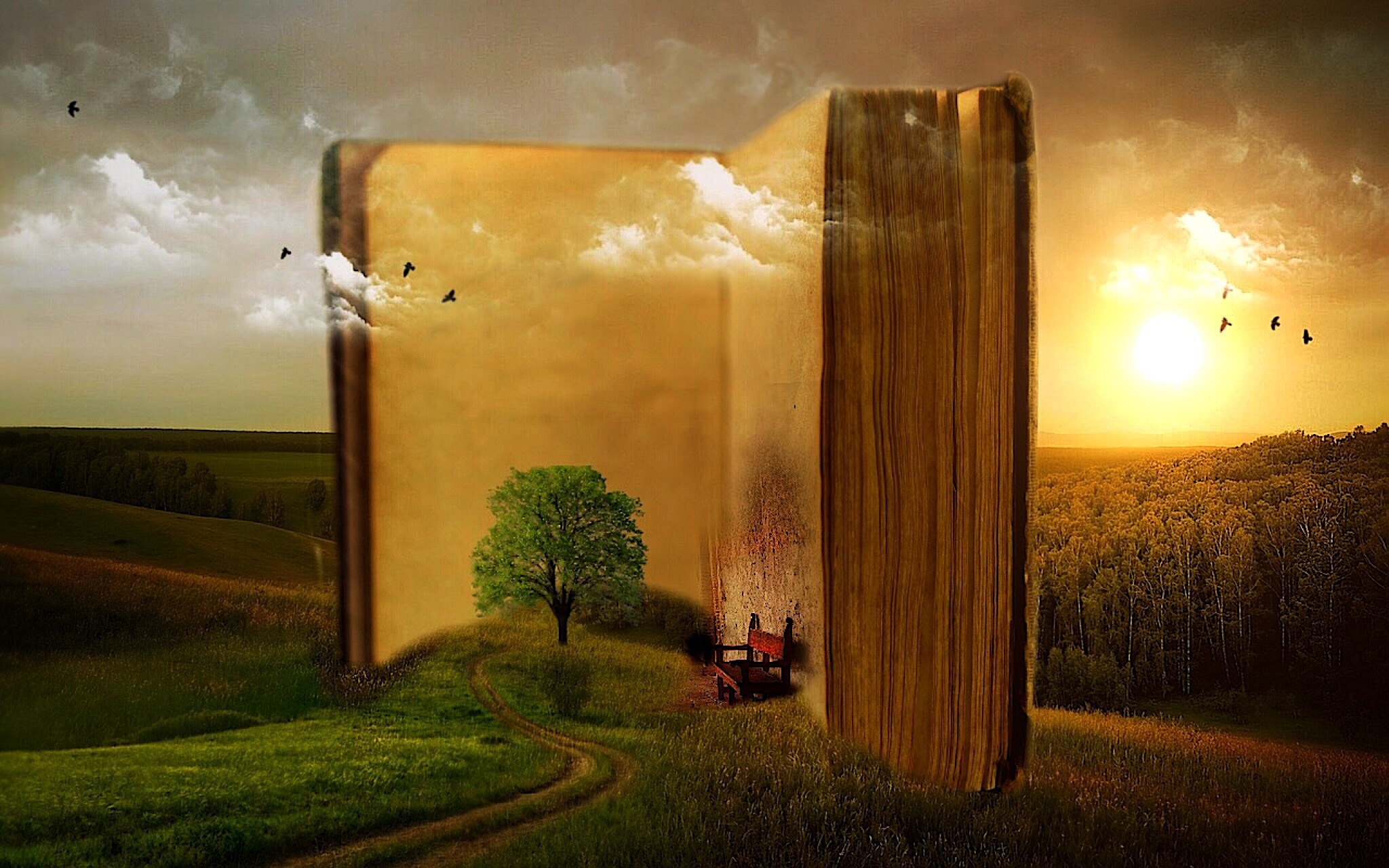 What I Read In 2016