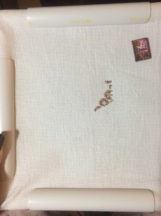 photo-jan-30-12-47-30-am