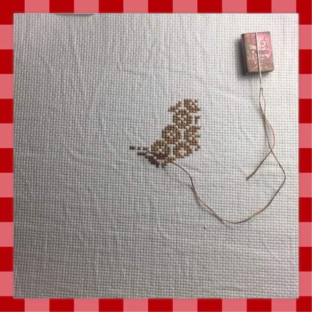 photo-feb-01-5-16-36-pm