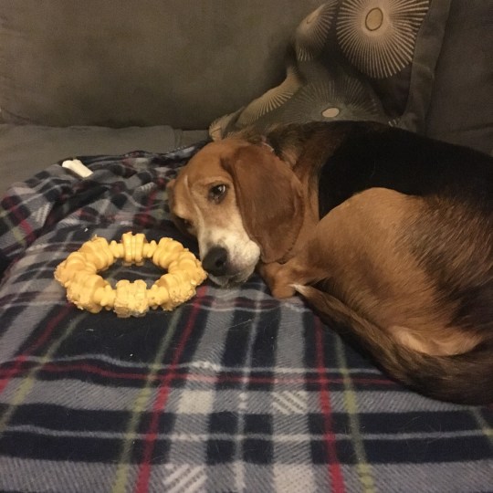 photo-feb-04-7-51-10-pm