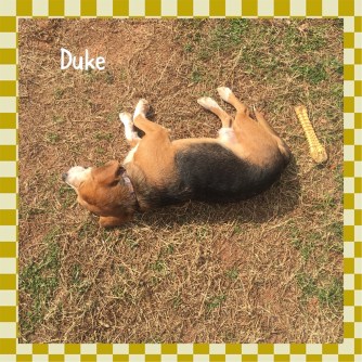 photo-feb-20-11-27-33-am