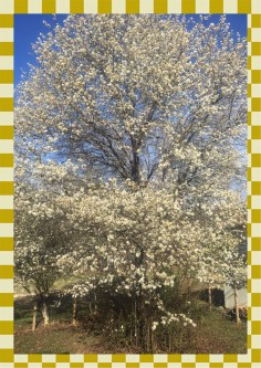 photo-feb-20-11-28-22-am