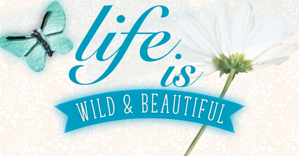 Finding Balance: A Week of Challenges and Small&nbsp;Joys