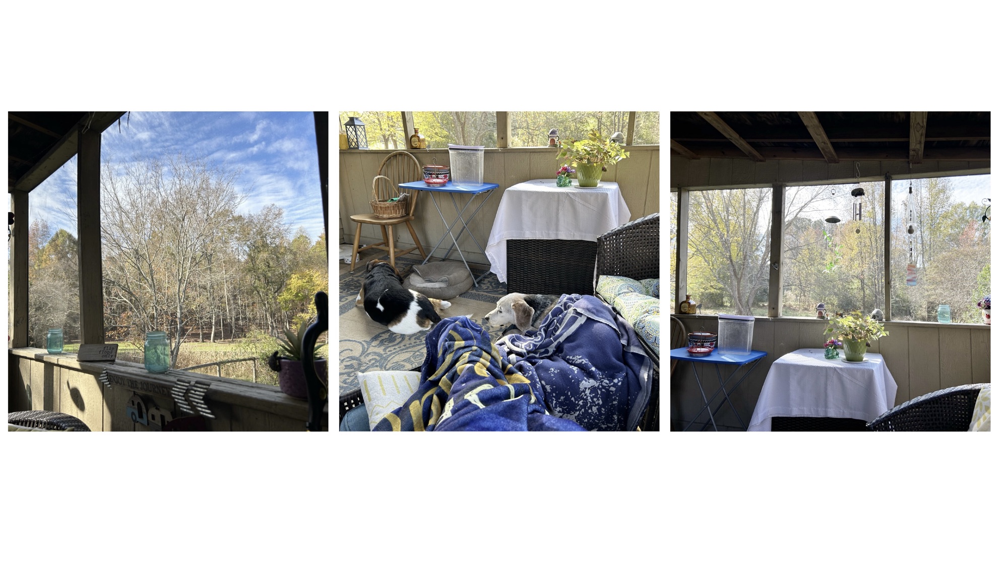A November Morning: Finding Light in the Shadows