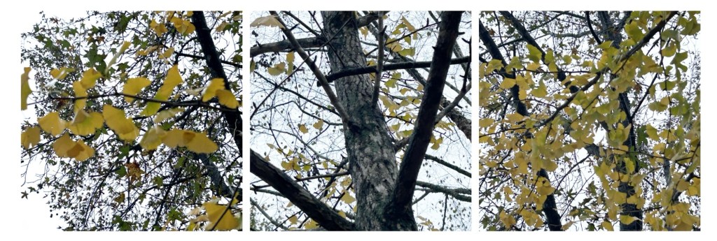 Finding Gratitude in God’s&nbsp;Timing